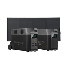 Load image into Gallery viewer, EcoFlow DELTA Pro + Smart Extra Battery + 400W Solar Panel