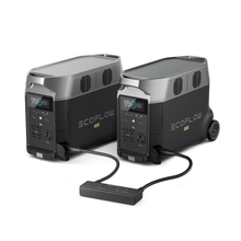 Load image into Gallery viewer, EcoFlow DELTA Pro *2 + Double Voltage Hub