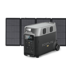 Load image into Gallery viewer, EcoFlow DELTA Pro + 4*220W Solar Panel