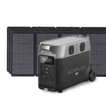 Load image into Gallery viewer, EcoFlow DELTA Pro + 4*220W Solar Panel