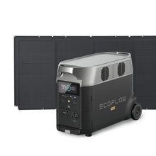 Load image into Gallery viewer, EcoFlow DELTA Pro + 400W Solar Panel + a free Camping Light