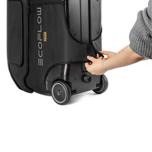 Load image into Gallery viewer, EcoFlow DELTA Pro Bag