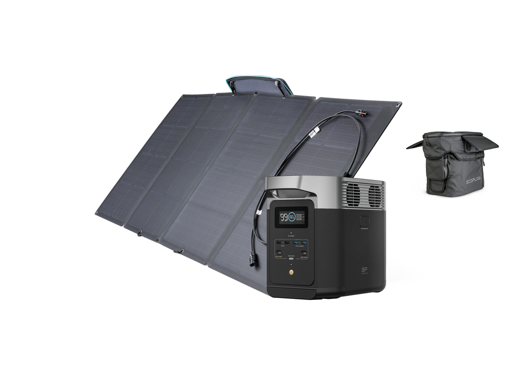 EcoFlow DELTA 2 + 160W Portable Solar Panel + Bag