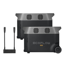 Load image into Gallery viewer, EcoFlow DELTA Pro *2 + Double Voltage Hub + two free Camping Lights
