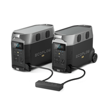 Load image into Gallery viewer, DELTA Pro*2 + 1*Double Voltage Hub+1*Remote Control
