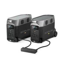 Load image into Gallery viewer, EcoFlow DELTA Pro *2 + Double Voltage Hub + two free Camping Lights
