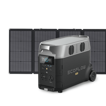 Load image into Gallery viewer, EcoFlow DELTA Pro + 220W Solar Panel
