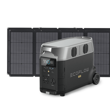 Load image into Gallery viewer, EcoFlow DELTA Pro + 220W Solar Panel
